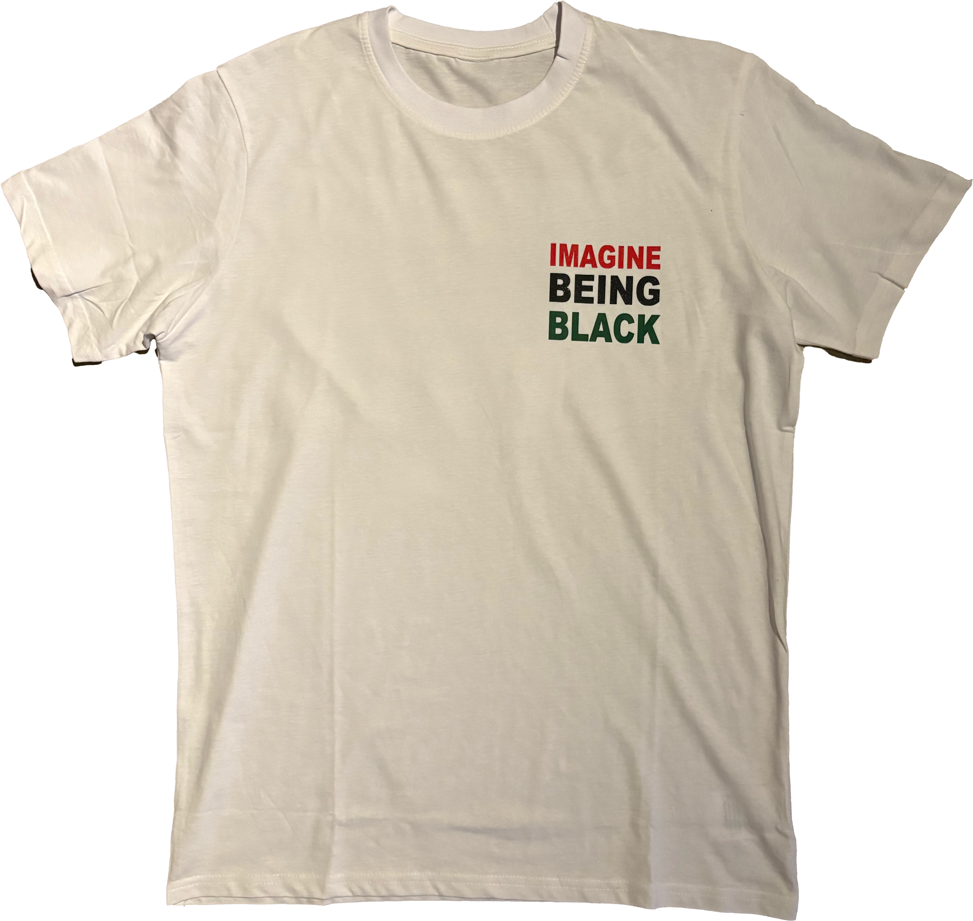 Juneteenth Edition IMAGINE BEING BLACK T